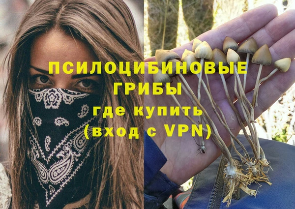 дурь Семилуки