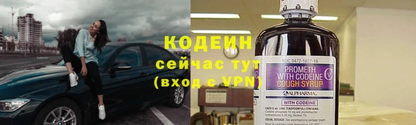 дживик Нягань
