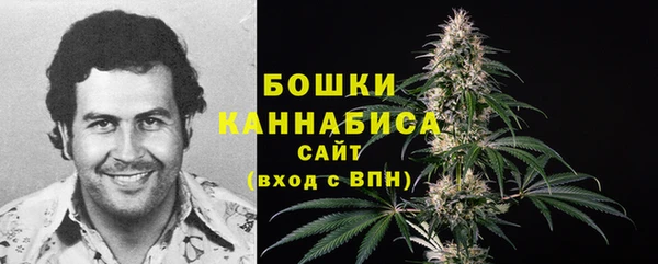 дурь Семилуки