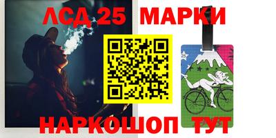 индика Заволжье