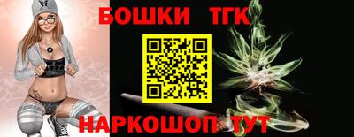 индика Заволжье