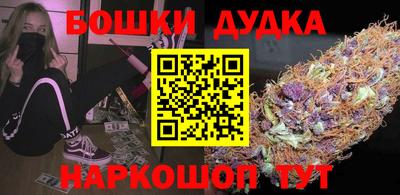 индика Заволжье