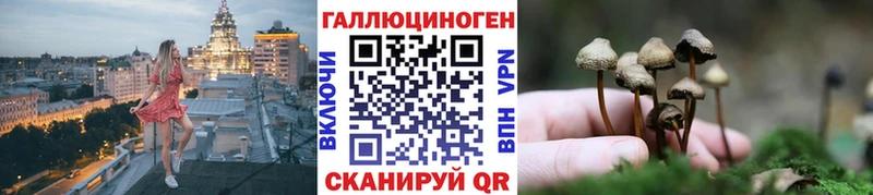 OMG ССЫЛКА  Сургут  Галлюциногенные грибы MAGIC MUSHROOMS 