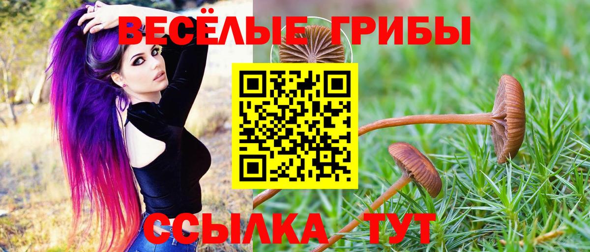 Сургут  сколько стоит  Вход с VPN  Галлюциногенные грибы MAGIC MUSHROOMS 