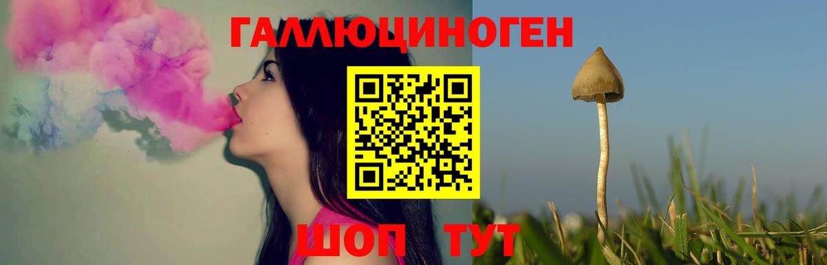 Псилоцибиновые грибы Psilocybe  Псилоцибиновые грибы Cubensis  Сургут 